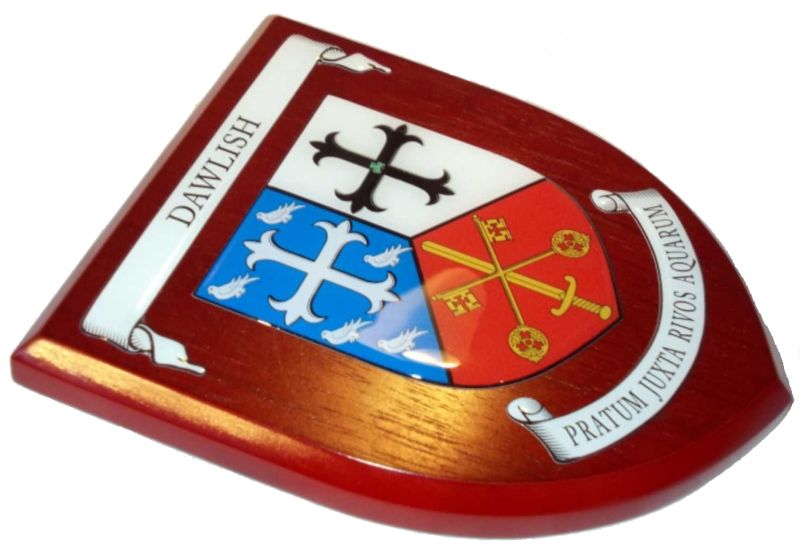 Presentation shield with shield shaped centrepiece and two scrolls.